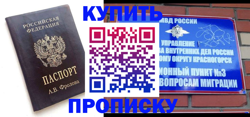 прописка поиск в Охе